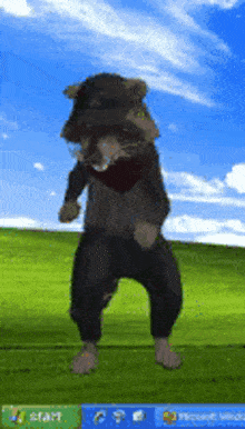 Dancing Raccoon Resnauv GIF - Dancing Raccoon Raccoon Resnauv GIFs