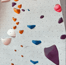 Bouldering What The Hell GIF - Bouldering What The Hell GIFs