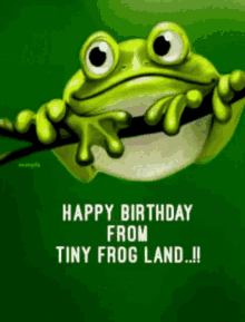Happy Birthday Frog GIFs | Tenor