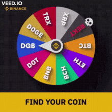 spin coin