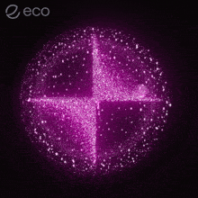 a purple circle with the word eco at the top