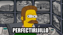 Perfectirijillo GIF - Ned Flanders Perfectirijillo GIFs