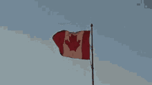 Canada Flag GIF - Canada Flag Canadian GIFs