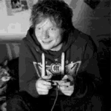 Ed Sheeran Cats GIF - Ed Sheeran Cats Cute GIFs