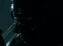 a close up of a person 's face with the word kepler on the bottom right