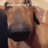 Juan Talking GIF