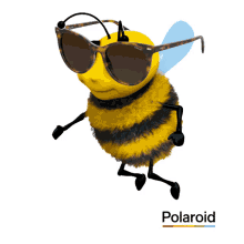 polaroid polaroid eyewear eyewear bee bee sustainable