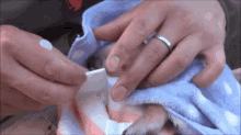 a person with a ring on their finger holds a small animal wrapped in a blanket