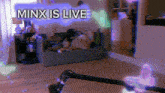 Justaminx Live GIF - Justaminx Minx Live GIFs