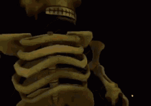 Skeleton GIF - Skeleton GIFs