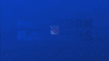 New York Rangers Rangers Goal GIF