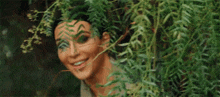 kardashian bush