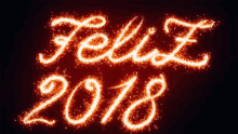 Feliz Año Nuevo 2018 GIF