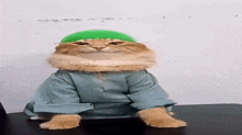 a cat wearing a green hat is sitting on a table