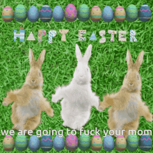 Easter Bunny GIF - Easter Bunny Easter Bunny GIFs