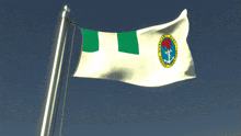a white flag with a green stripe on the bottom and a red cross in the middle