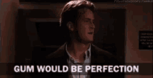 Gum Would Be Perfection - Perfection GIF - Perfection Friends Chandler GIFs