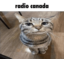 Radio Canada GIF - Radio Canada GIFs