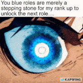 a close up of a person 's eye with a caption that says you blue roles are merely a stepping stone for my rank