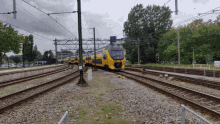 virm alkmaar train ns dutch railways
