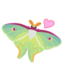 hearts butterfly