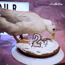 Duck Birthday Cake GIF - Duck Birthday Cake Ducks Birthday GIFs