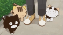 Tama And Friends Uchitama Have You Seen My Tama GIF - Tama And Friends Uchitama Have You Seen My Tama GIFs