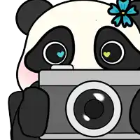 a panda bear holding a camera with a flower in its hair