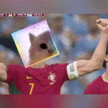a soccer player with a cat on his head and the number 7 on his shirt