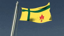 a yellow flag with a green stripe and a red flower on it