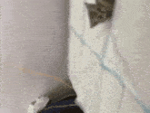 Cat Posing Cat Flex GIF - Cat Posing Cat Flex W Cat GIFs