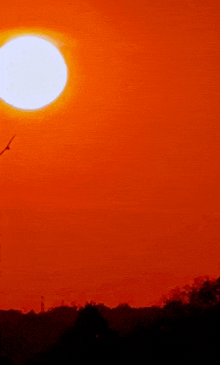 a bird is flying in the sky at sunset with the sun shining brightly in the background .