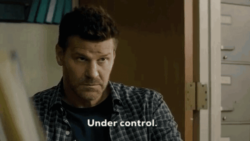 Under Control Its Under Control GIF - Under Control Its Under