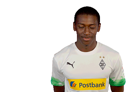 Borussia Mönchengladbach Sticker