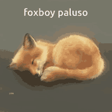 Foxboy GIF - Foxboy GIFs