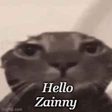 Zainny Zainab GIF - Zainny Zainab Hello Zainny GIFs
