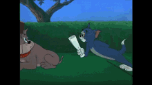 Lêu Lêu Leuleu GIF - Lêu Lêu Leuleu Tom And Jerry GIFs
