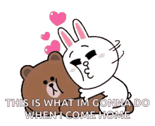 Brown Cony GIF - Brown Cony Cuddle GIFs