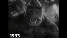 King Kong The Evolution Of King Kong GIF