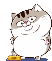 Ami Fat Cat Sticker - Ami Fat Cat Belly Stickers