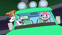 a dog wearing a helmet with the letter v on it and a cat wearing a helmet with a letter v on it