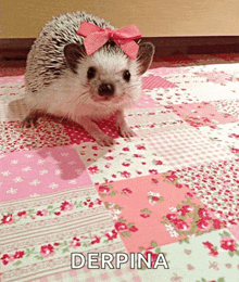 a hedgehog wearing a pink bow sits on a floral blanket with derpina written on the bottom