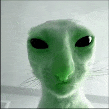 Alien Cat Green GIF