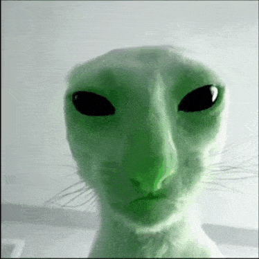 alien-cat-alien.gif