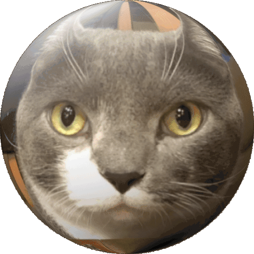 Gary Globe Sticker - Gary Globe Cat Stickers
