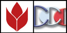 a red flower is next to a blue and white logo for cic