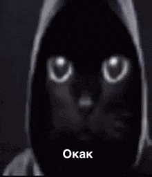 a black cat wearing a hoodie with glowing eyes is looking at the camera .