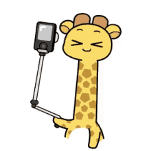 giraffe selfie