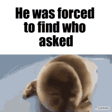 He Was Forced Who Asked GIF - He Was Forced Who Asked To Find GIFs