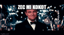 Zec Mi Kokot Danke GIF - Zec Mi Kokot Danke Zec Mi Kokot GIFs